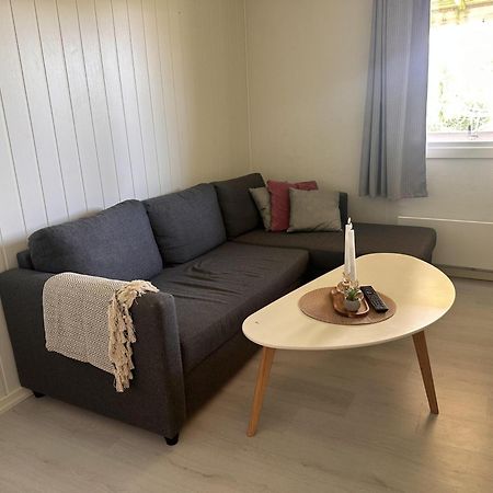 Studio Apartment In The Center Of אלטה מראה חיצוני תמונה