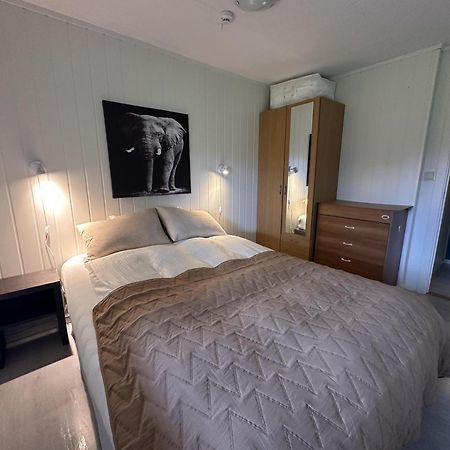 Studio Apartment In The Center Of אלטה מראה חיצוני תמונה